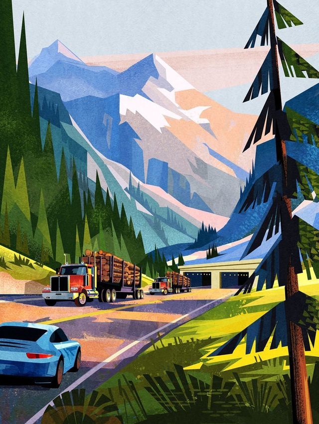 Яскраві ілюстрація життя, які створюють затишок - фото 245636