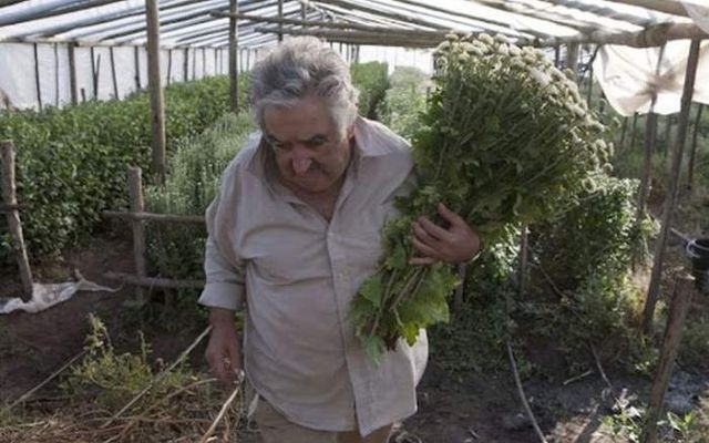 Як живе найбідніший в світі президент- фото 247805