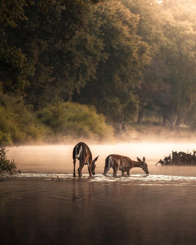 Подорожі та природи в об'єктиві талановитого фотографа - фото 248877