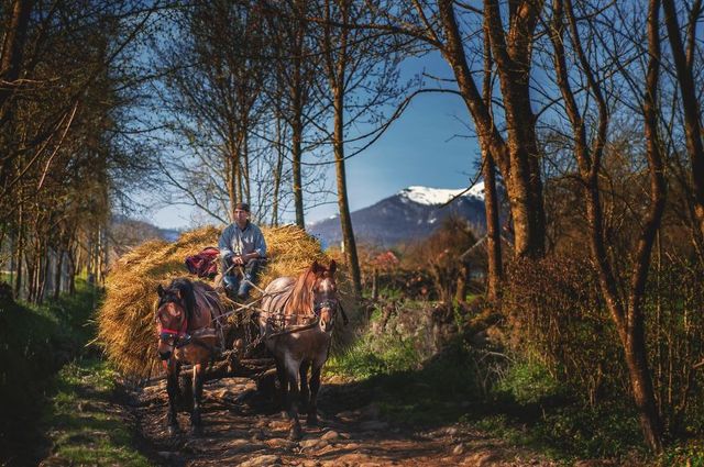 Фотограф 10 років мандрував Румунією: казкові кадри - фото 247878