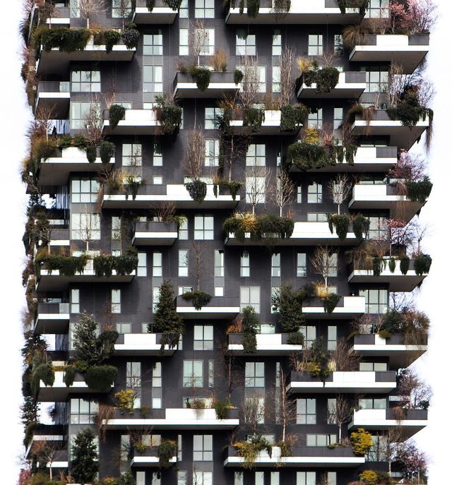 Незвичайний погляд на Китай в об'єктиві талановитого фотографа - фото 245210