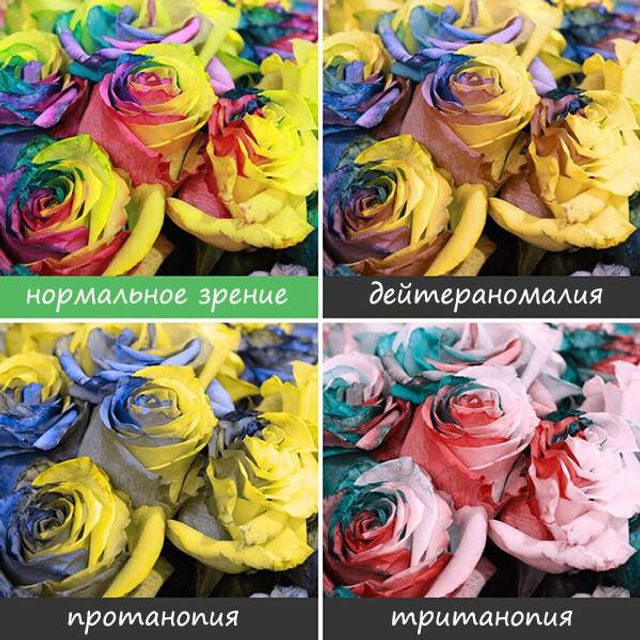 Світ очима людей, які страждають від дальтонізму- фото 248153