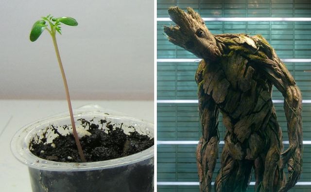 Грут - фото 248446