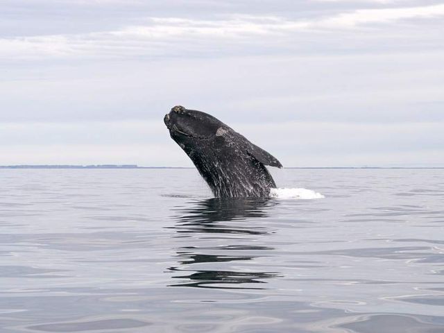 Як виглядає найпівденніше місто планети- фото 244470