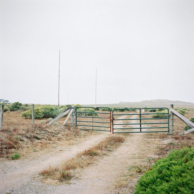 Мінімалістичні пейзажі Каліфорнії, від яких спокійно на душі - фото 245163