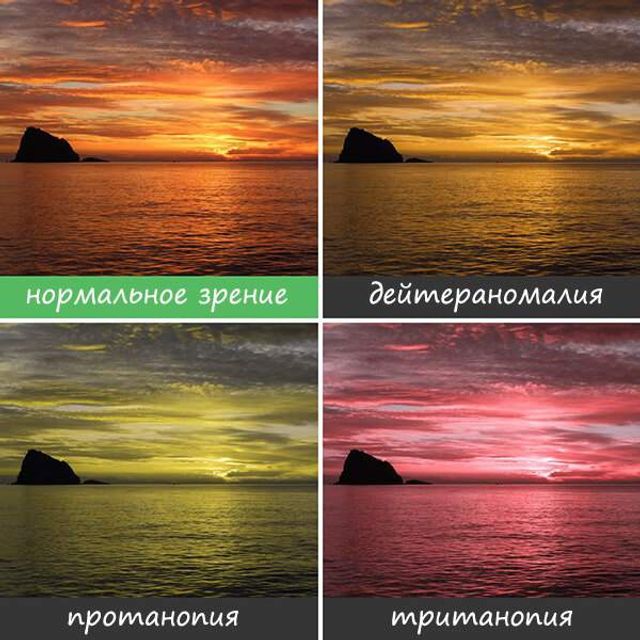 Світ очима людей, які страждають від дальтонізму- фото 248150