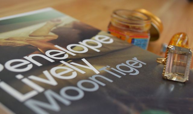 Місячний тигр - фото 250677