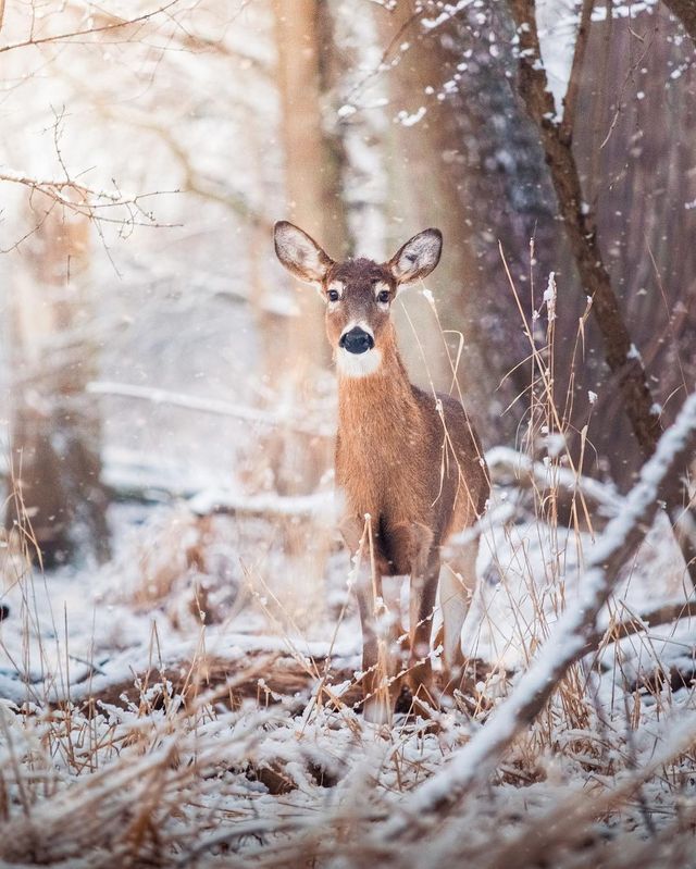 Подорожі та природи в об'єктиві талановитого фотографа - фото 248871