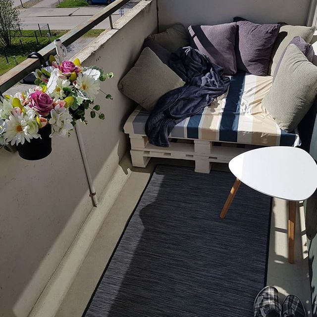 Емоційний кіт вперше побував на балконі - фото 248337