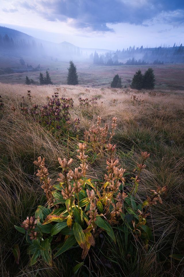 17-річний фотограф досліджує світ - фото 246204