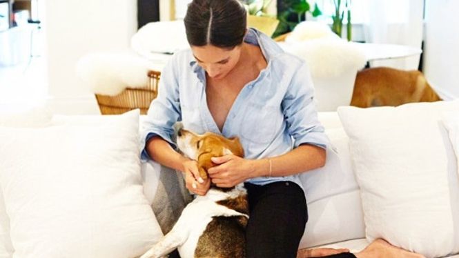 Пес Меган Маркл подружився з королевою Єлизаветою II