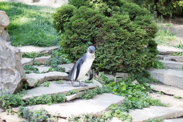 Фотограф зняв на камеру зоопарк у Будапешті - фото 244739