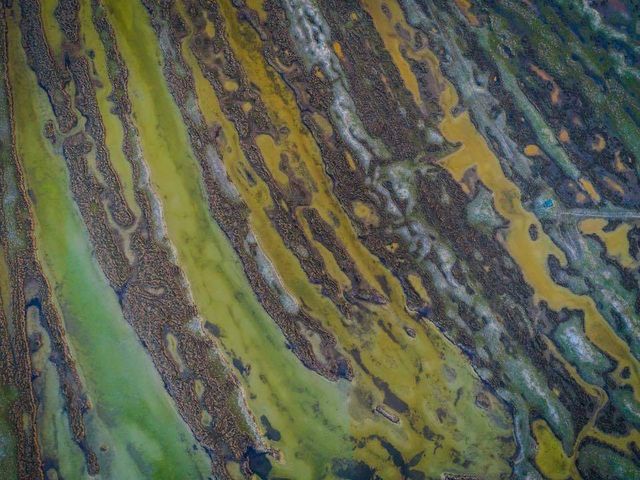 Так виглядає найбільший безлюдний острів України- фото 251029