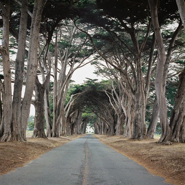 Мінімалістичні пейзажі Каліфорнії, від яких спокійно на душі - фото 245162