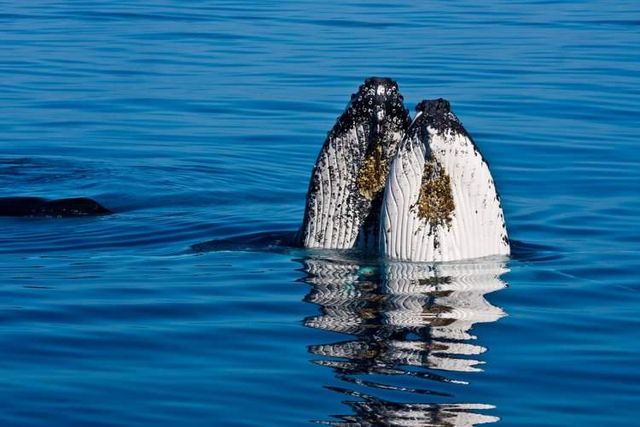 Так виглядає найбільший в світі піщаний острів- фото 251603