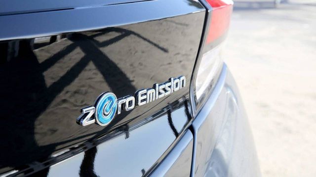 Марго Роббі закликала людей до екологічної відповідальності - фото 247301