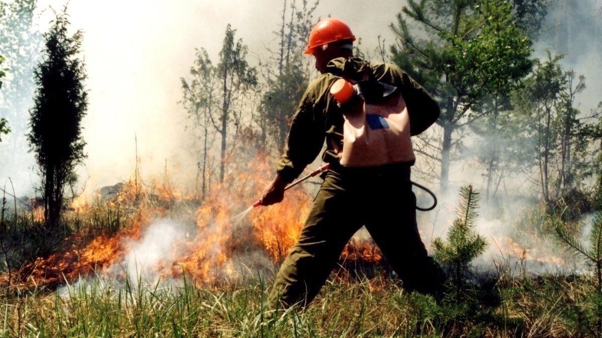 У ДСНС попередили про найвищий рівень пожежної небезпеки