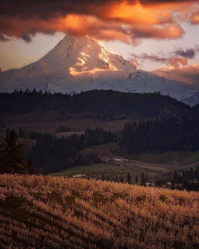 Чарівні пейзажі в об'єктиві талановитого фотографа: ефектні кадри - фото 244777
