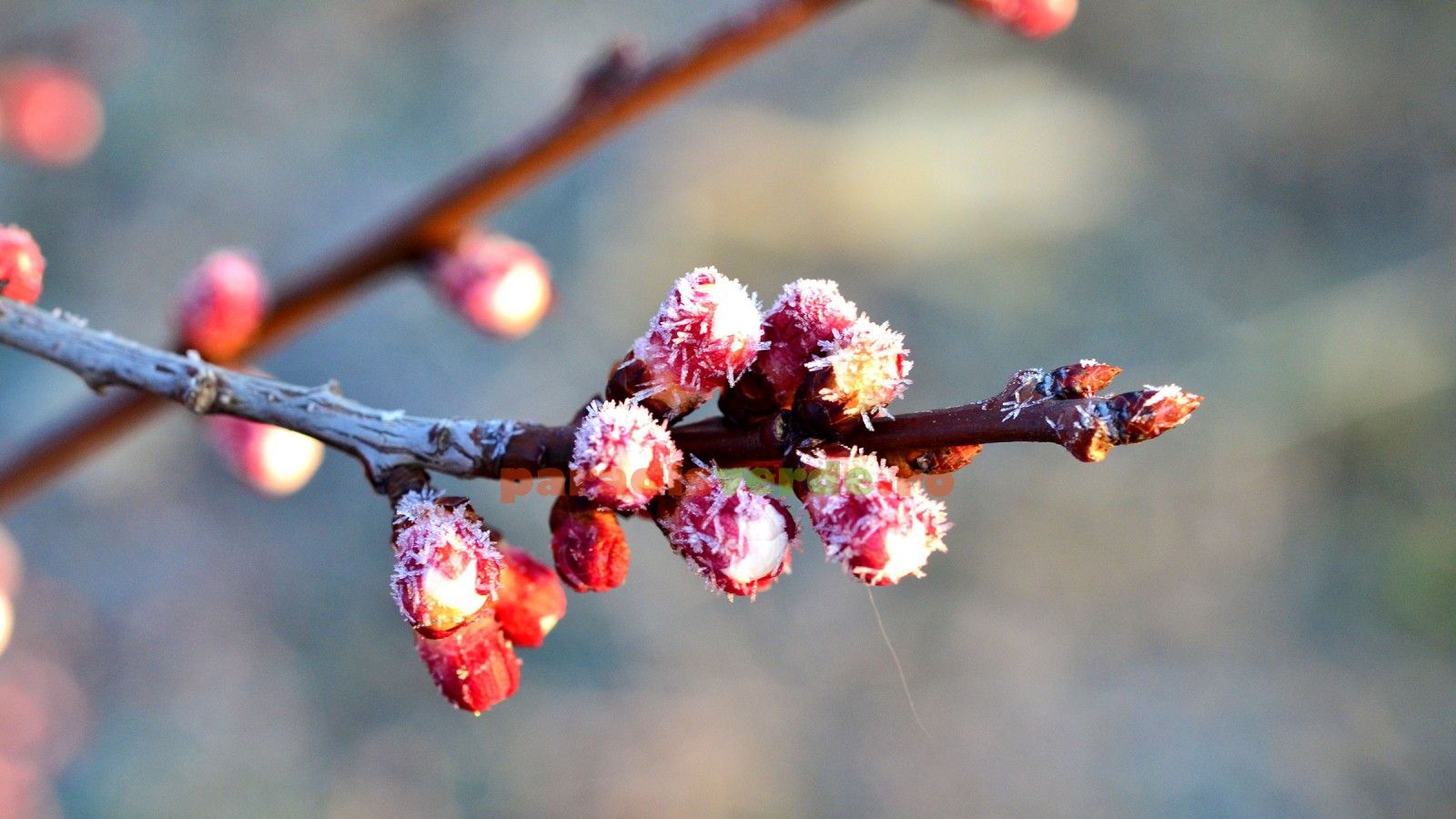 Погода різко зміниться: в Україну йдуть заморозки