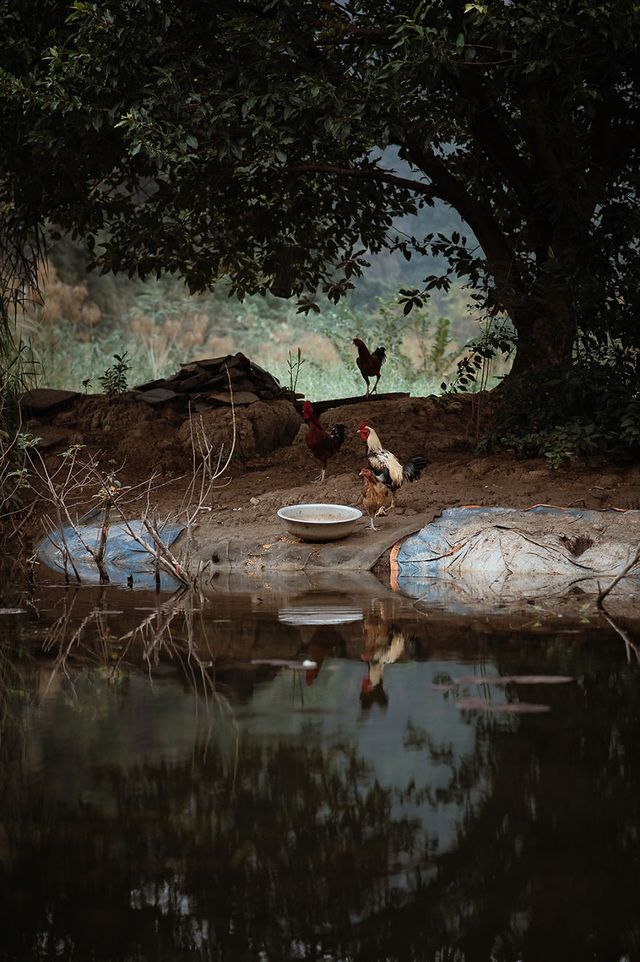 Похмура краса В'єтнаму, від якої перехоплює дух - фото 249620