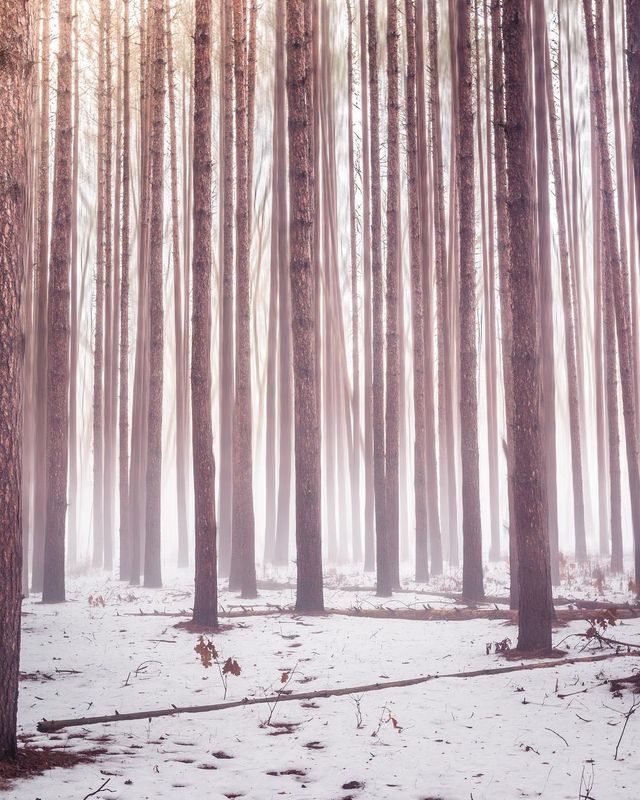 Подорожі та природи в об'єктиві талановитого фотографа - фото 248869