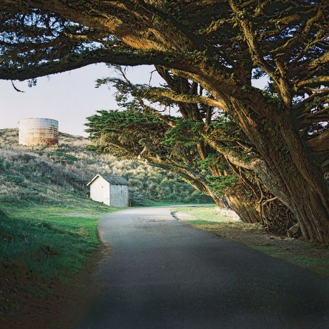 Мінімалістичні пейзажі Каліфорнії, від яких спокійно на душі - фото 245165