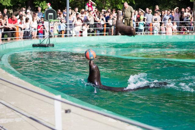 Фотограф зняв на камеру зоопарк у Будапешті - фото 244738