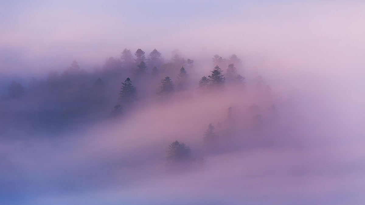 Ранкові Карпати у тумані: чарівні фото - фото 1