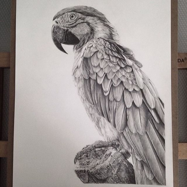 Художниця створює гіперреалістичні малюнки, від яких перехоплює подих - фото 245572