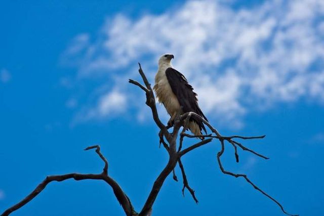 Так виглядає найбільший в світі піщаний острів- фото 251594