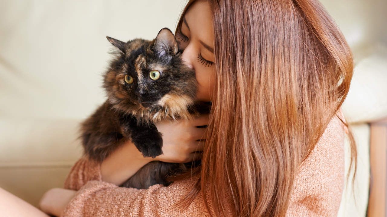 Цей засіб рятує від алергії на котів