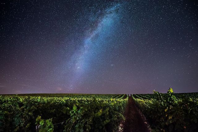 Фотограф 10 років мандрував Румунією: казкові кадри - фото 247880