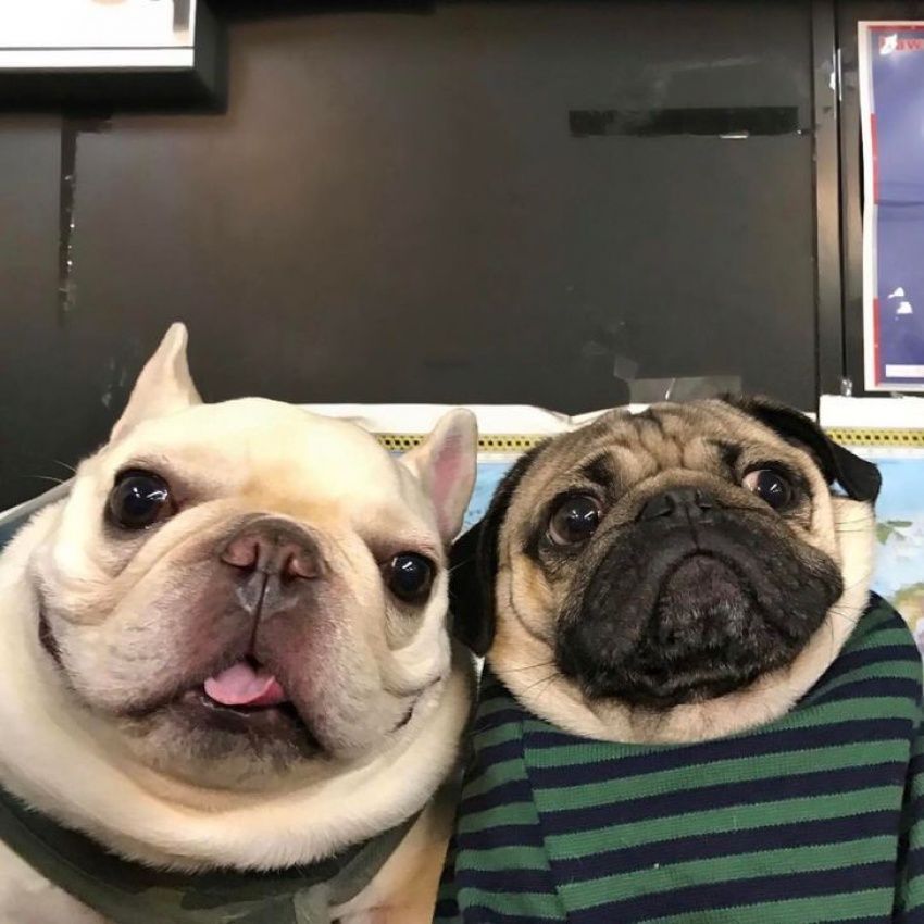 Коли батьки вперше дзвонять по Skype: кумедне фото стало мемом