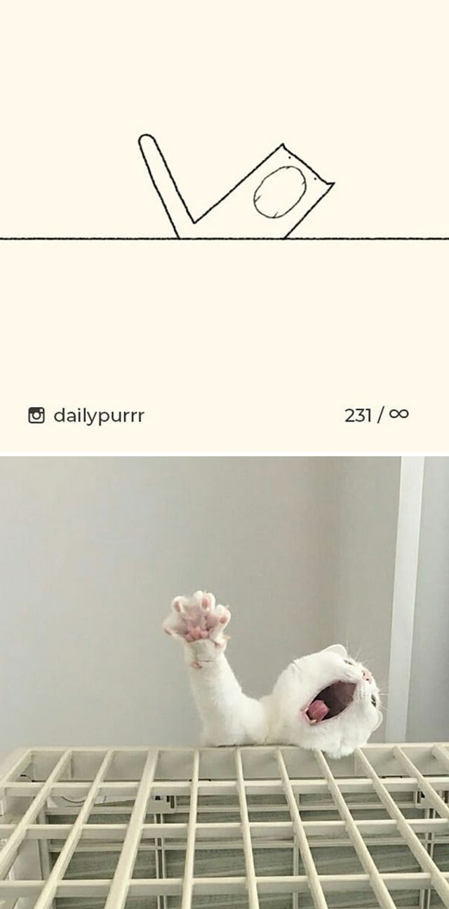 Геніальні малюнки котів, які змусять сміятися найсерйозніших - фото 245910