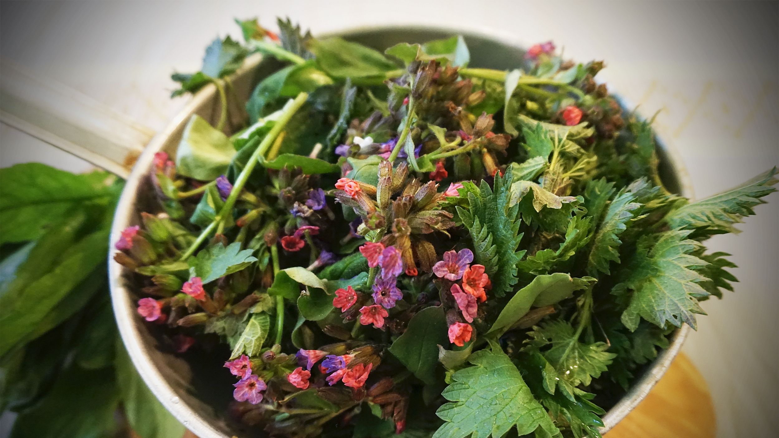 Названі цілющі властивості звичайної кропиви