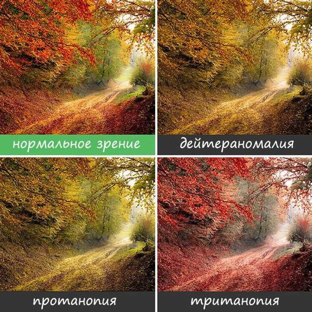 Світ очима людей, які страждають від дальтонізму- фото 248156