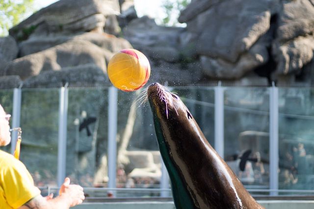 Фотограф зняв на камеру зоопарк у Будапешті - фото 244733