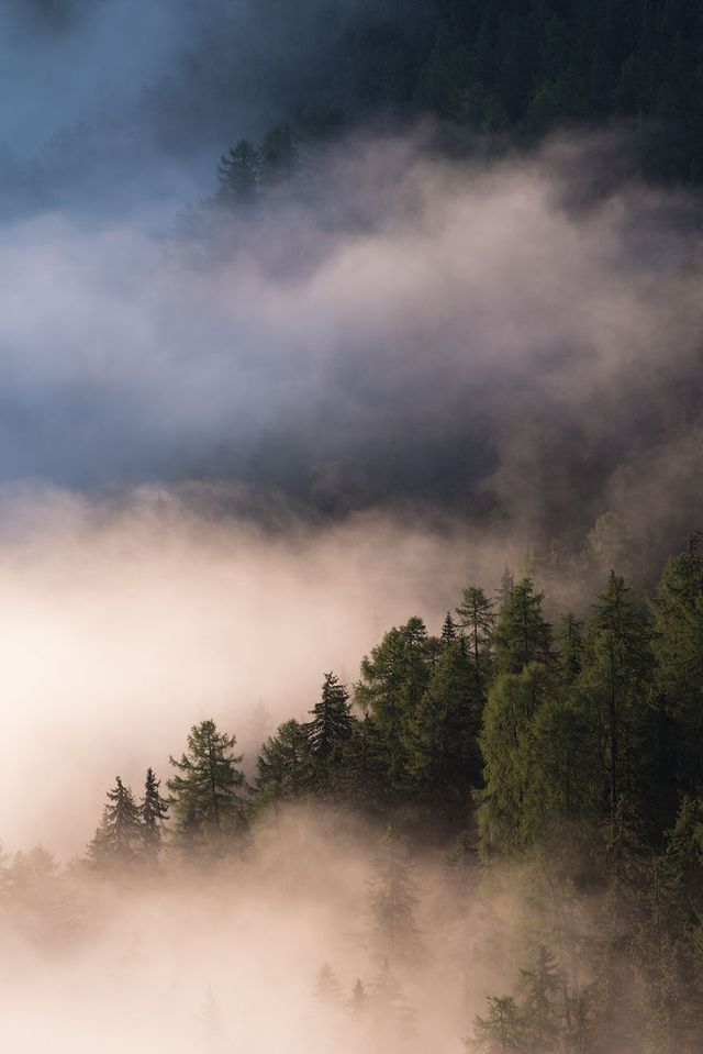 17-річний фотограф досліджує світ - фото 246205
