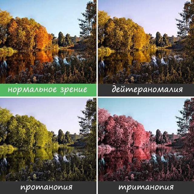 Світ очима людей, які страждають від дальтонізму- фото 248151