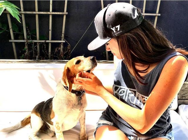 Меган Маркл з собакою - фото 245888