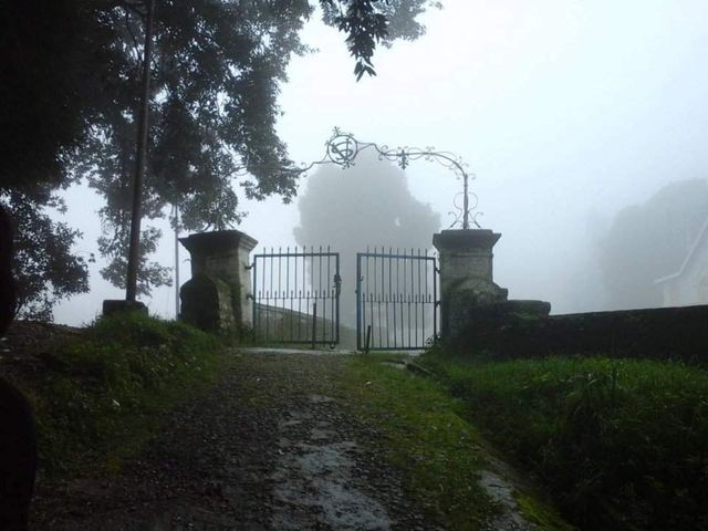 Так виглядають найстрашніші ліси світу- фото 247244