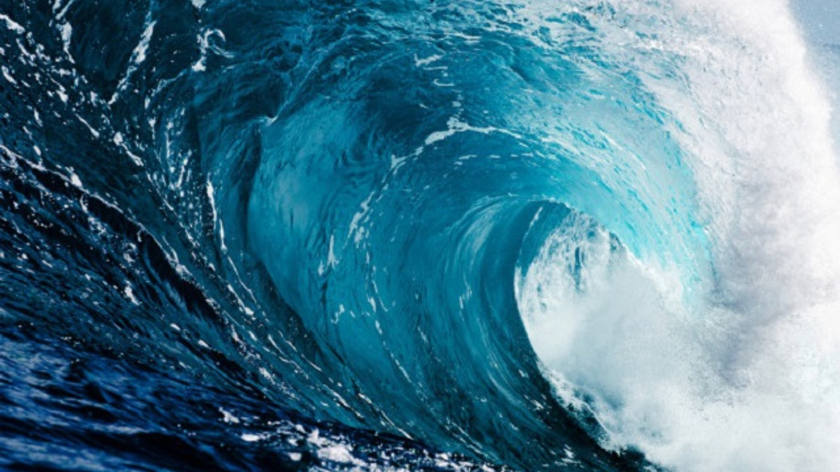 У Новій Зеландії зафіксували найбільшу хвилю - фото 1