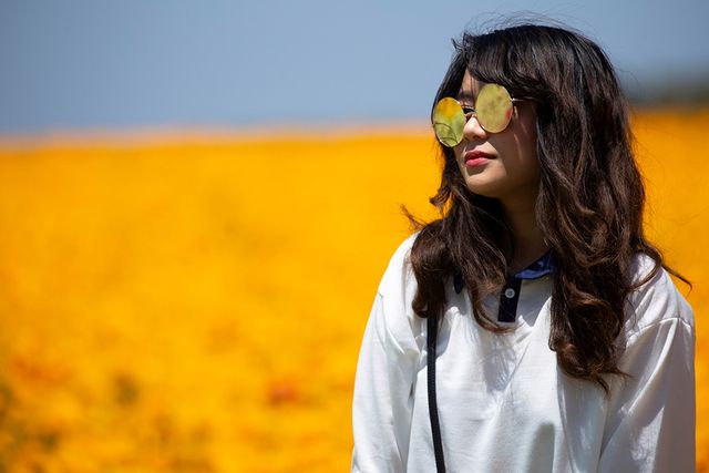 Квіткові поля в курортному містечку у Каліфорнії - фото 244802