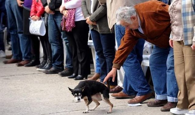 Як живе найбідніший в світі президент- фото 247804