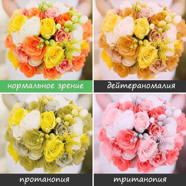 Світ очима людей, які страждають від дальтонізму- фото 248152