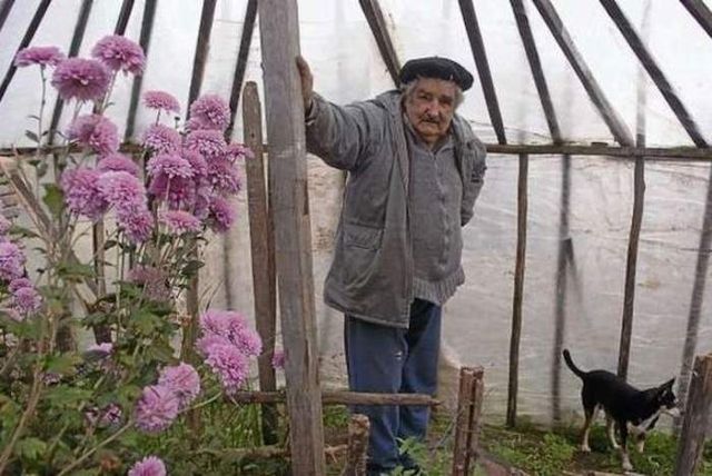 Як живе найбідніший в світі президент- фото 247808