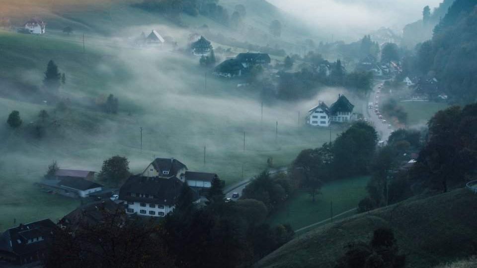 Ліс із казки "Гензель і Гретель" - фото 1