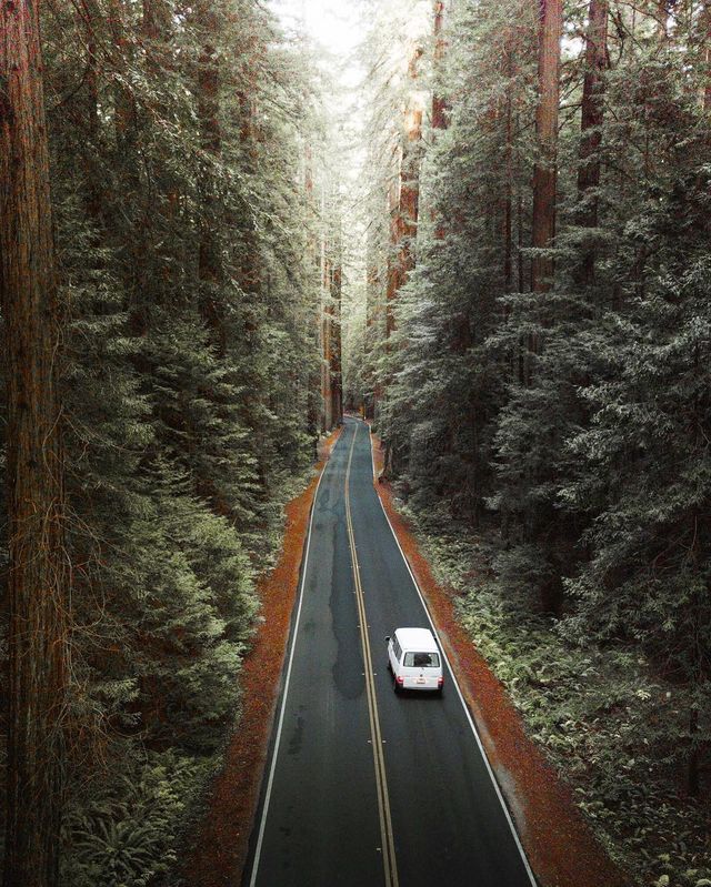 Чарівні аерофотографії, від яких перехоплює дух - фото 245870