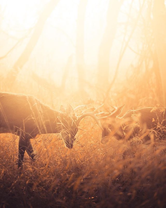 Подорожі та природи в об'єктиві талановитого фотографа - фото 248865
