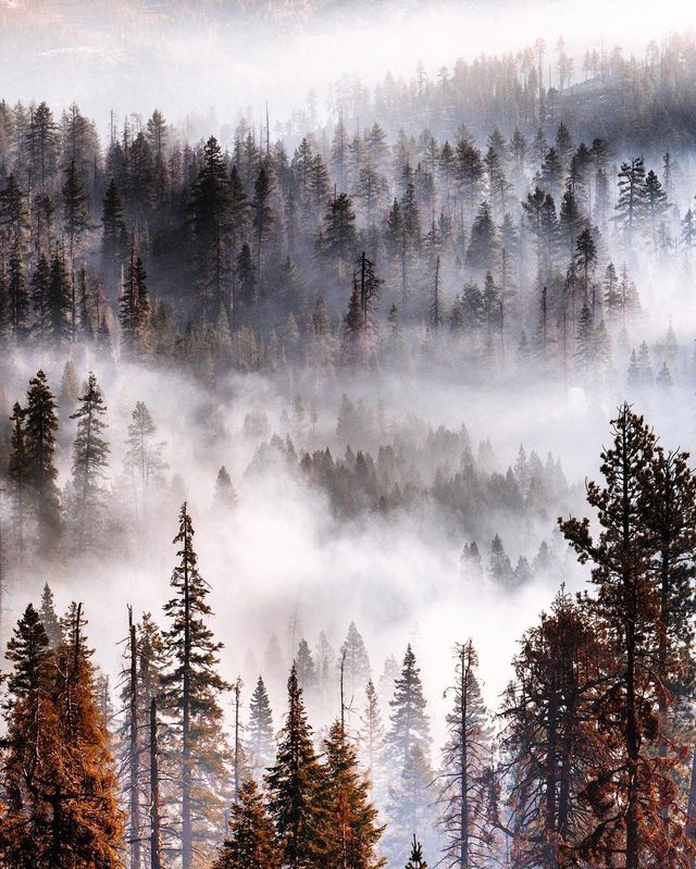 Чарівні аерофотографії, від яких перехоплює дух - фото 245867